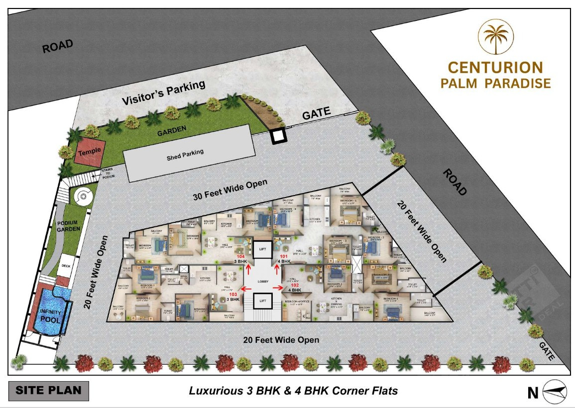 Centurion palm paradise